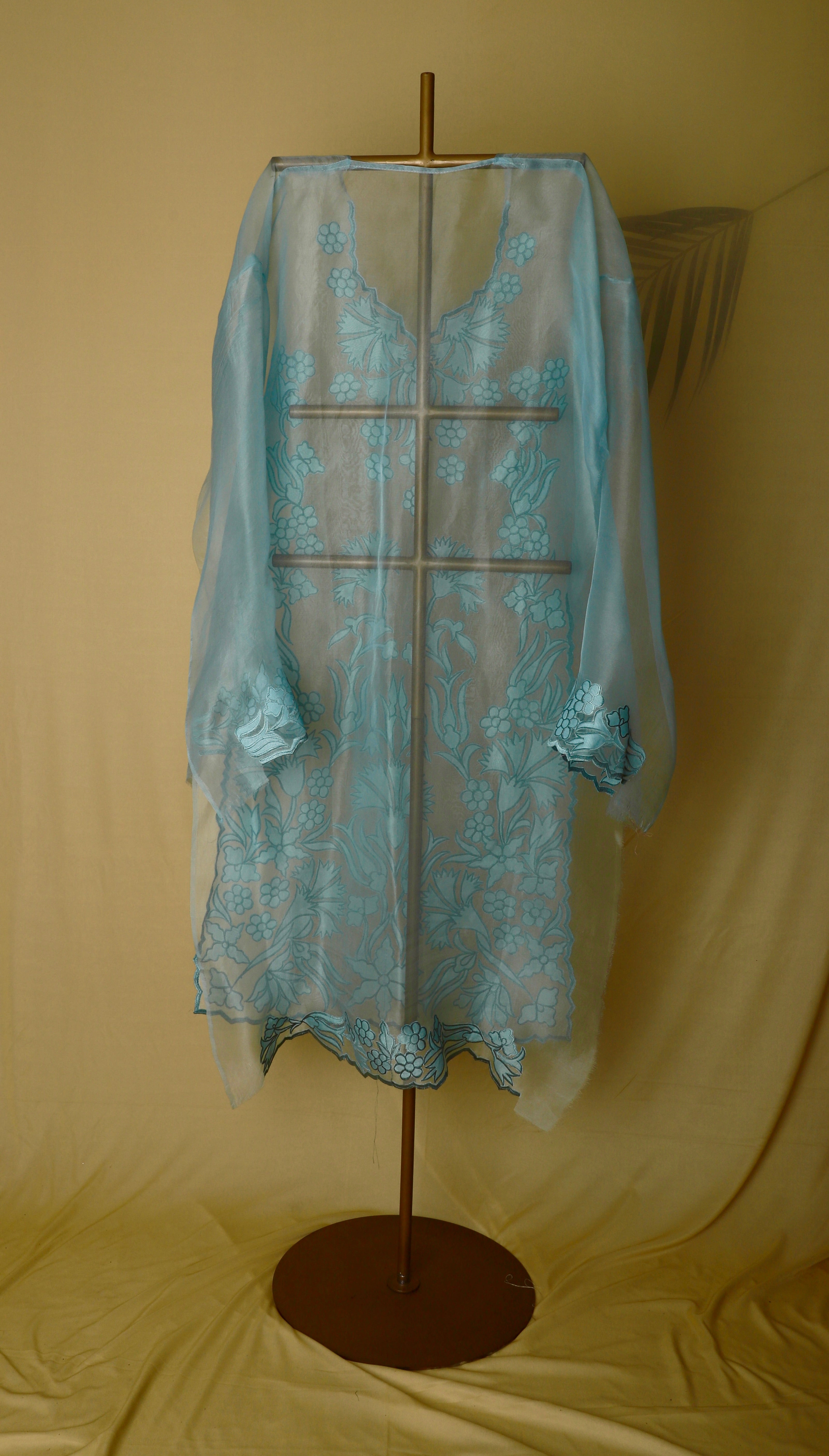 Aqua Organza Appliqué Suit Set