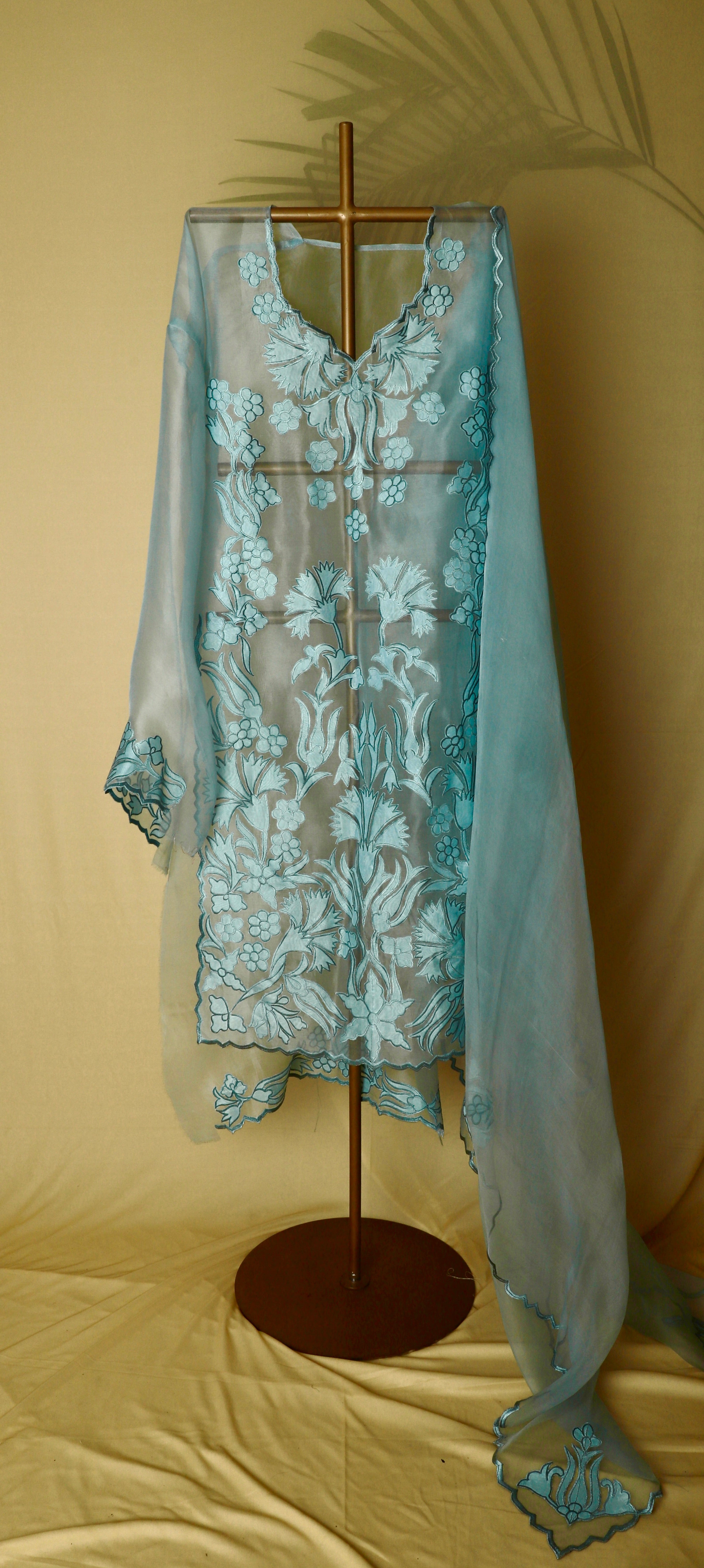 Aqua Organza Appliqué Suit Set